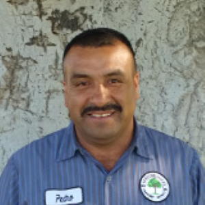 pedro